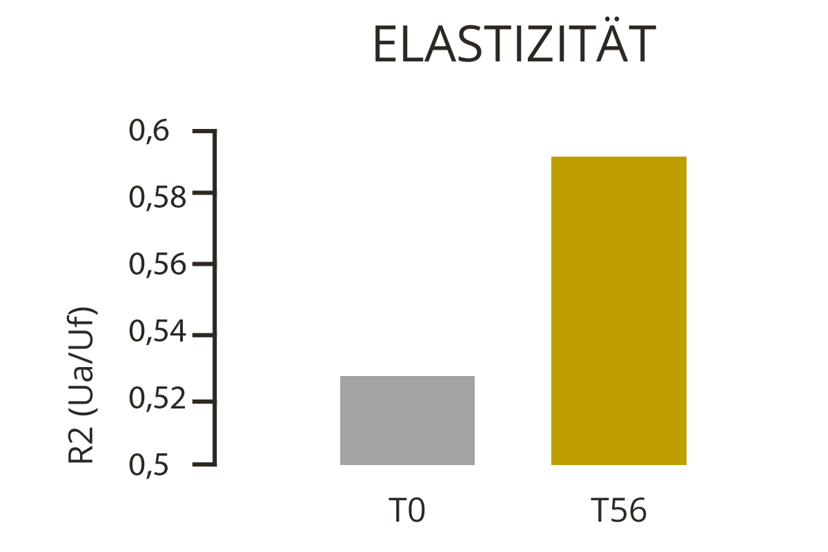 Silizium Pur: Siliziumdioxid für effektive und natürliche Reinigungsprozesse und als bioverfügbare Siliziumquelle