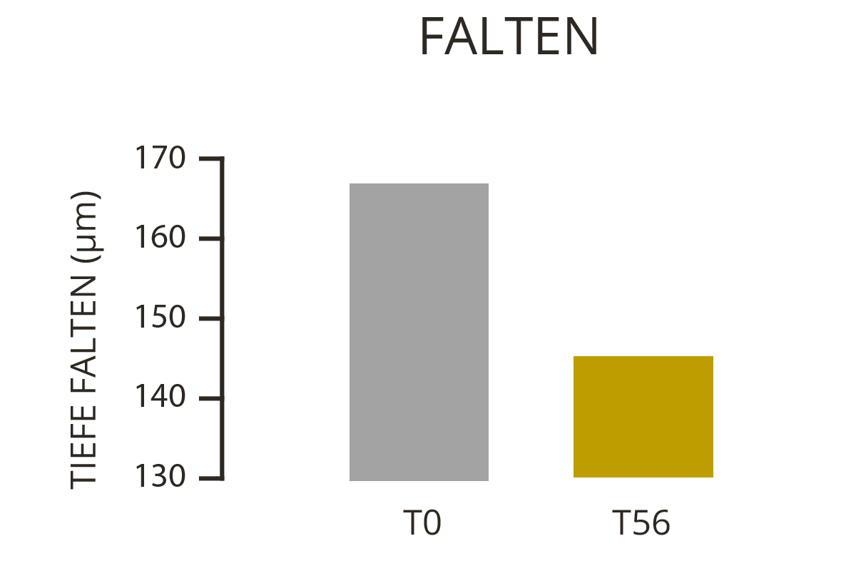 Silizium Pur: Siliziumdioxid für effektive und natürliche Reinigungsprozesse und als bioverfügbare Siliziumquelle