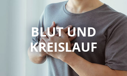 Blut und Kreislauf