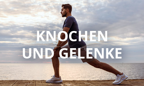 Knochen und Gelenke