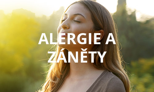 Allergien und Entzündungen