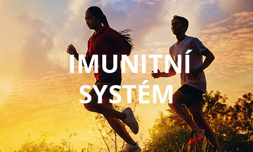 Immunsystem